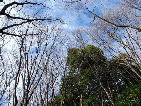 町田界隈31