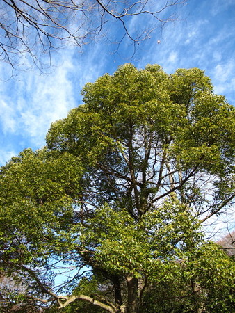 町田界隈63