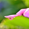 梅雨のはじめは