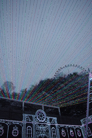 画像 085