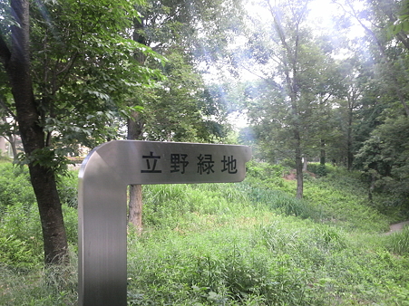 P1000481
