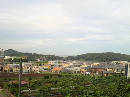P1000542