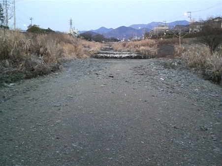 P1001136