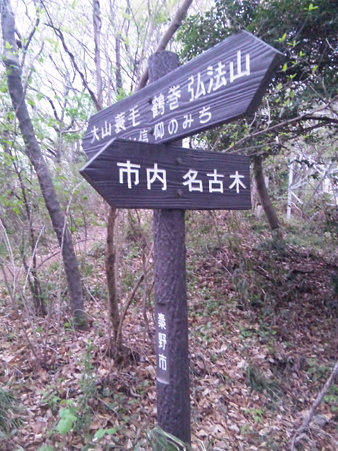SBSH0195
