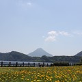 開聞岳と池田湖