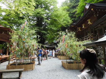 貴船神社 本宮05 七夕笹飾り
