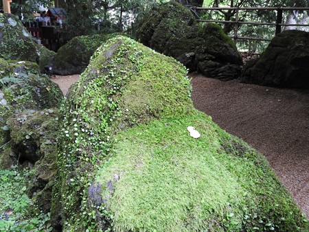 貴船神社 本宮10 石庭の岩のこけがすごい