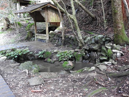 鞍馬寺14 親子の蟾蜍→月の池だね~