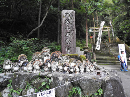 狸谷山不動院02 真言宗修験道総本山