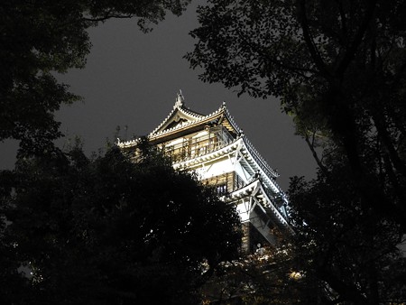 広島城ライトアップ06