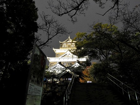 広島城ライトアップ07