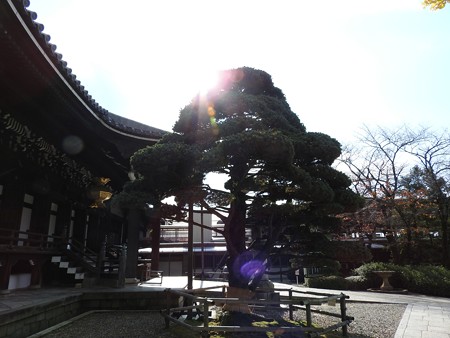 2015.12.4 1232 大谷本廟2(元画像)