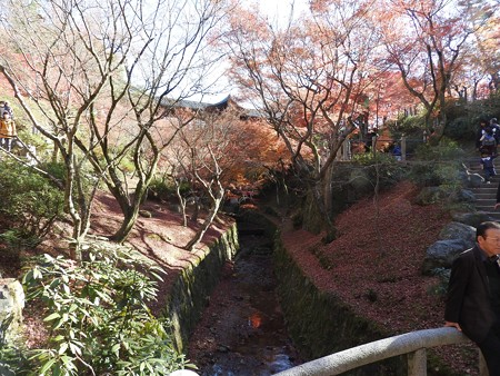 2015.12 東福寺01(元画像)