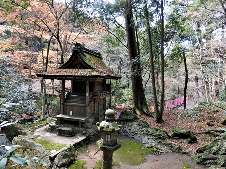 石山寺29 龍蔵権現社5 灯籠が龍珠、社が頭、下方の道が胴体