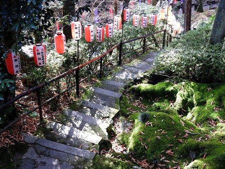 石山寺47 本堂から見下ろす1
