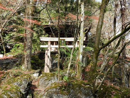 石山寺50 三十八所権現社1