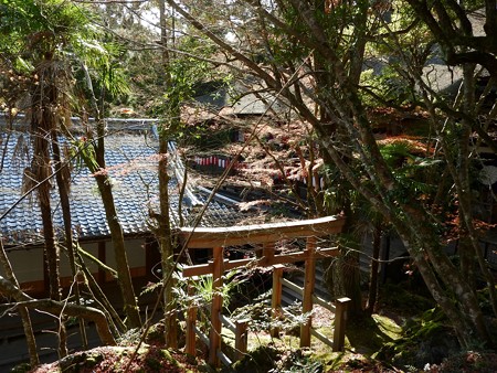 石山寺52 三十八所権現社3 厳島神社と同じ鳥居の形