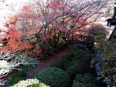石山寺82 月見亭から見下ろす