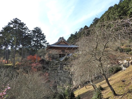 石山寺106 光堂1