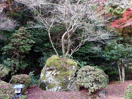 石山寺116 金龍竜王社1