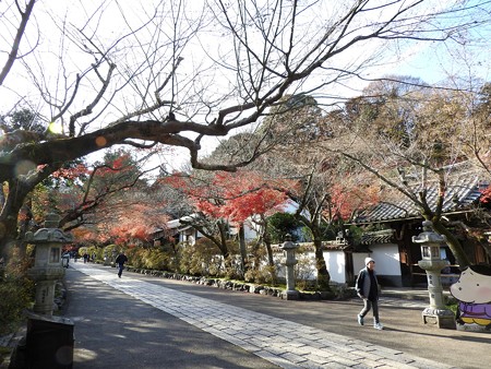 石山寺125 帰りの参道5