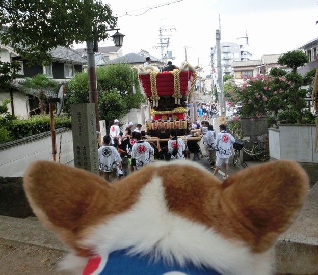 2016待夏祭り