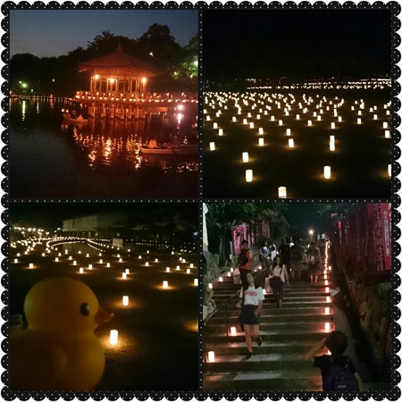 2016燈花会