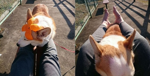 たいそう