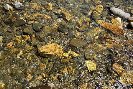 DSC05322