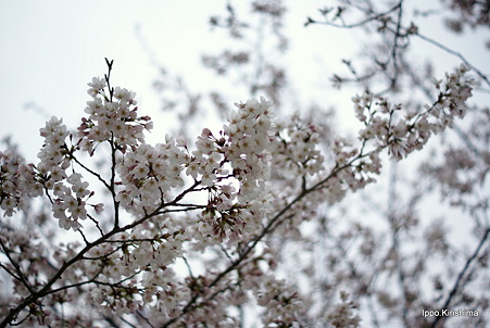 DSC06712
