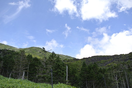 夏・八ヶ岳