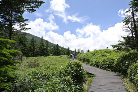 夏・八ヶ岳