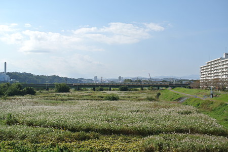 武蔵野線／多摩川橋梁