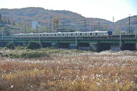 南武線／多摩川橋梁