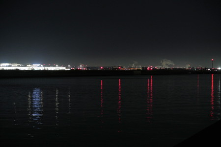 京浜島つばさ公園より