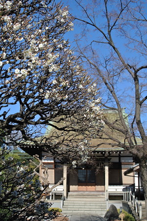 良泉寺／神奈川新町