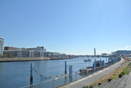鶴見川右岸