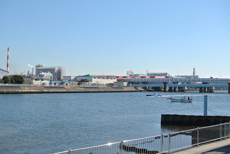 鶴見川右岸