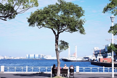 2016.11.12　山下公園　海の見えるベンチ