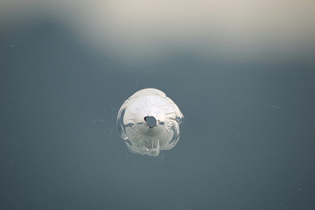 2011.01.28　トルコ　イスタンブル　ボスフォラス海峡クルーズ-窓ガラスに穴