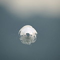 2011.01.28　トルコ　イスタンブル　ボスフォラス海峡クルーズ-窓ガラスに穴