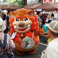 ふちゅこま?色々いるねぇ。