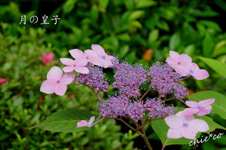 DSC05473-001