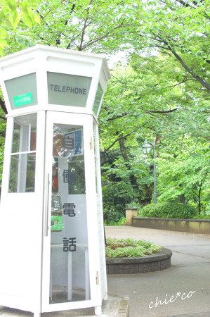 横浜山手-281