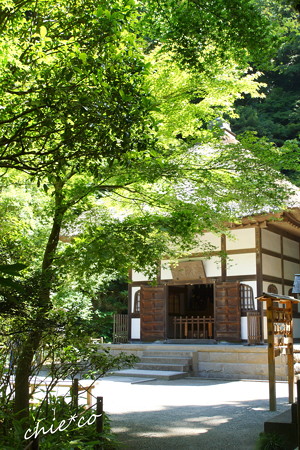 北鎌倉-436