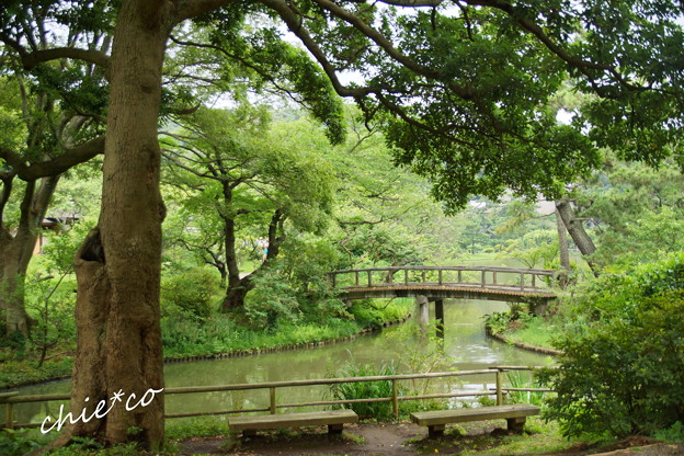 三渓園-257