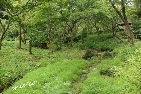 三渓園-263