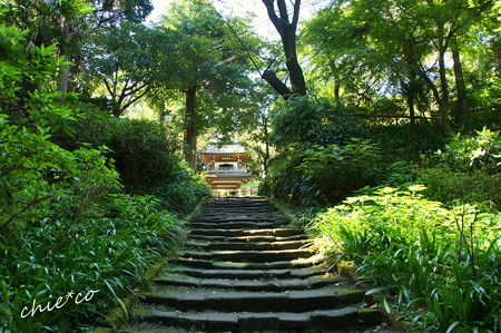 北鎌倉-351