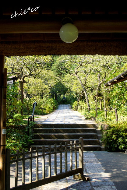 北鎌倉-382