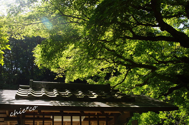 東慶寺-272